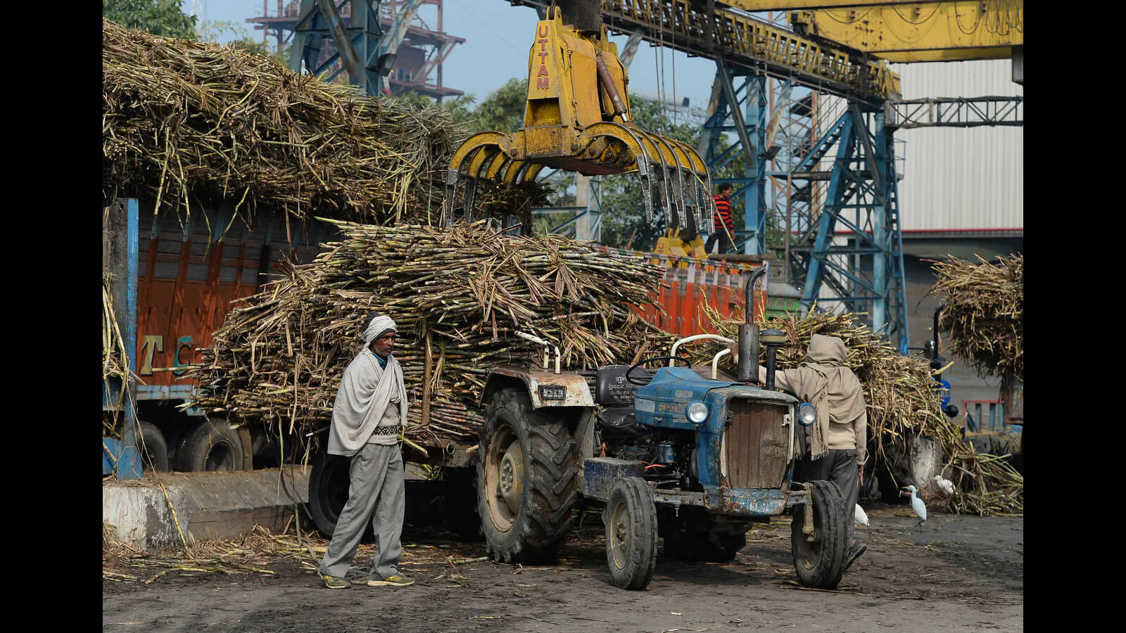 India can face shortage of sugar as mills in maharasthra will produce 16% less sugar.